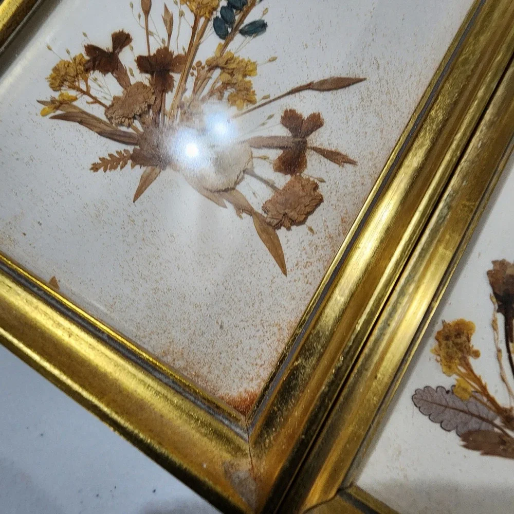 Vintage Reichlin Switzerland Pressed Flower Butterfly Art Gold Frames Set of 2